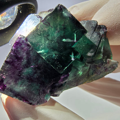 Spécimen de cube de fluorite fantôme parqueté vert violet Okorusu, Namibie 42*38*25mm 