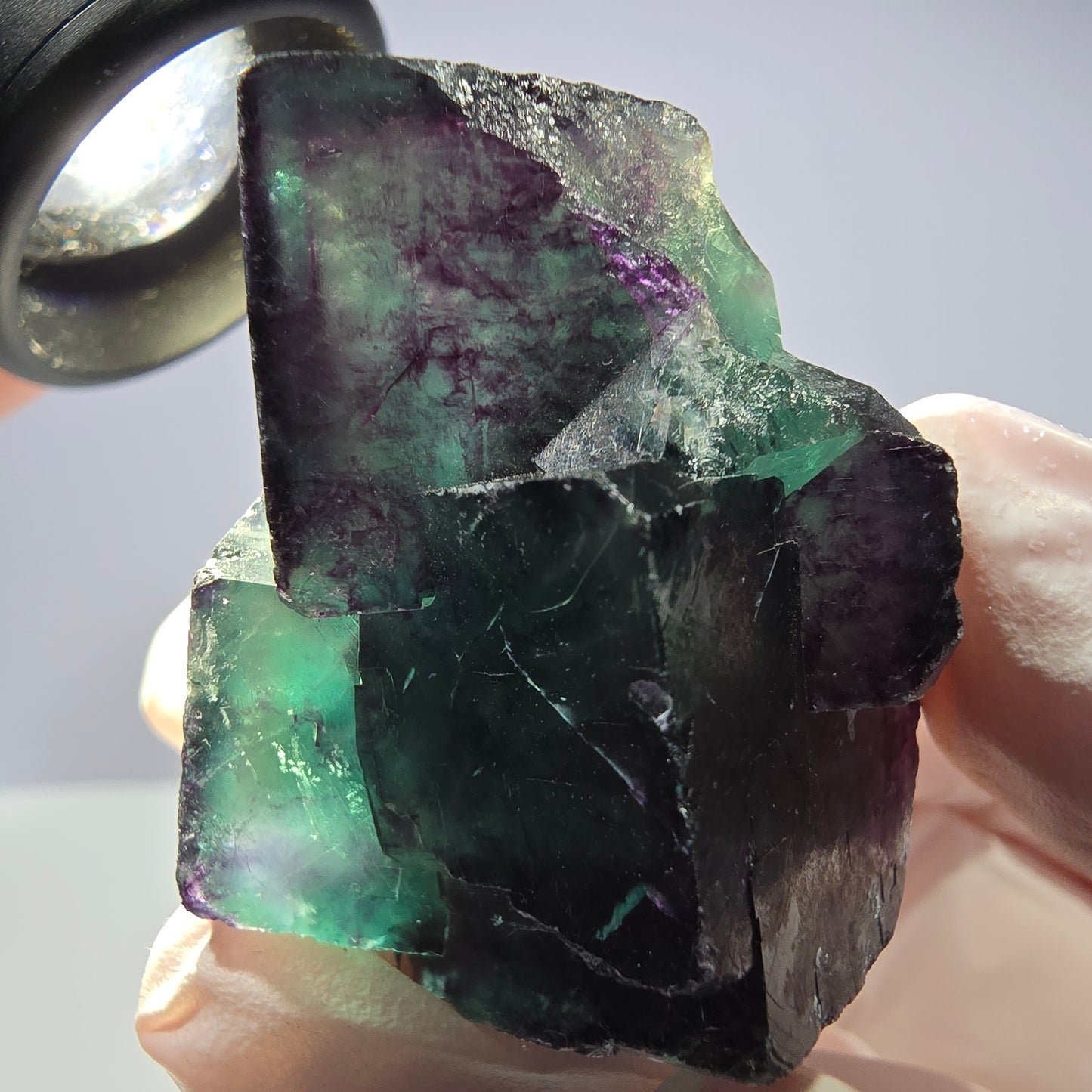 Spécimen de cube de fluorite fantôme parqueté vert violet Okorusu, Namibie 42*38*25mm 