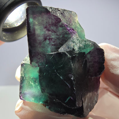 Spécimen de cube de fluorite fantôme parqueté vert violet Okorusu, Namibie 42*38*25mm 