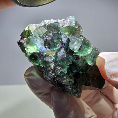 Spécimen de cube de fluorite fantôme parqueté vert violet Okorusu, Namibie 51*31*22mm 