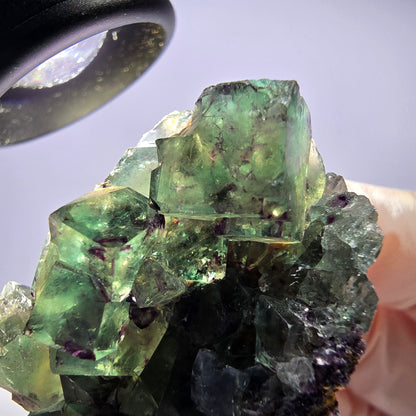 Spécimen de cube de fluorite fantôme parqueté vert violet Okorusu, Namibie 51*31*22mm 