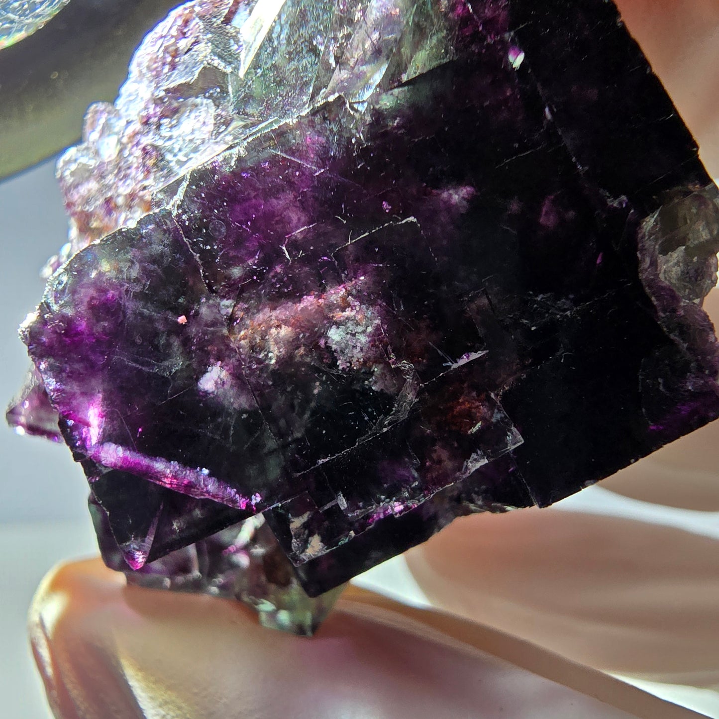 Spécimen de cube de fluorite fantôme parqueté vert violet Okorusu, Namibie 38*36*21 mm 