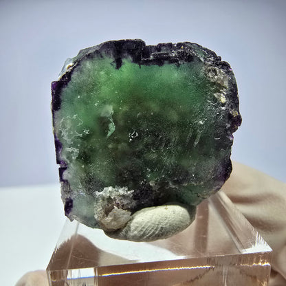 Spécimen de cube de fluorite fantôme, parqueté, zonal Okorusu, Namibie 36*27*20 mm 