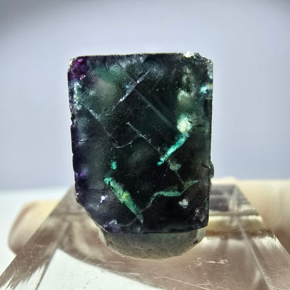 Rare cube de fluorite fantôme parqueté vert violet Okorusu Namibie 20*15*13mm 