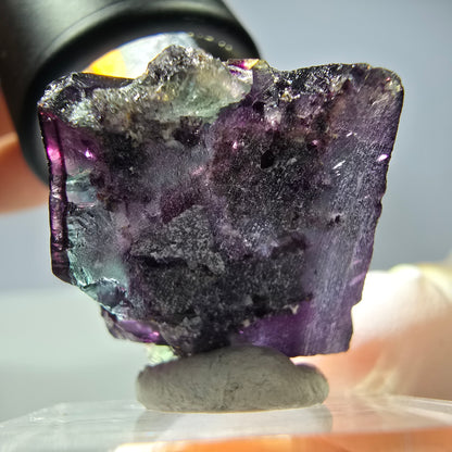 Rare cube de fluorite fantôme parqueté vert violet Okorusu Namibie 22*22*19mm 