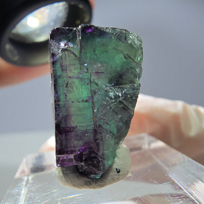 Rare cube de fluorite fantôme parqueté vert violet Okorusu Namibie 21*19*13mm 