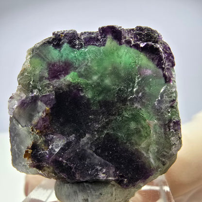 Spécimen de cube de fluorite fantôme, parqueté, zonal Okorusu, Namibie 31*29*24mm 