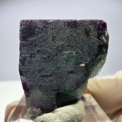 Rare cube de fluorite fantôme parqueté vert violet Okorusu Namibie 32*29*24mm 