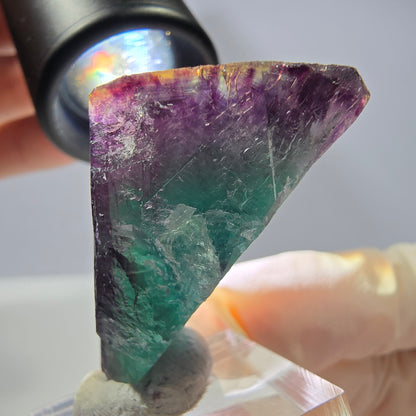 Rare cube de fluorite fantôme parqueté vert violet Okorusu Namibie 32*29*24mm 