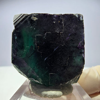 Rare cube de fluorite fantôme parqueté vert violet Okorusu Namibie 31*30*30mm 