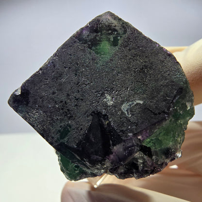 Rare cube de fluorite fantôme parqueté vert violet Okorusu Namibie 31*30*30mm 
