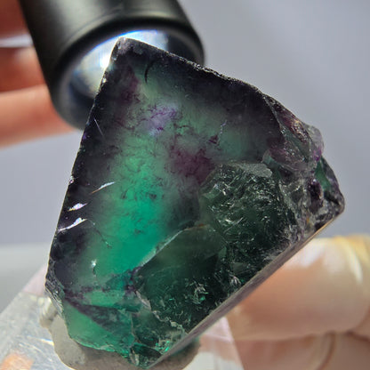 Rare cube de fluorite fantôme parqueté vert violet Okorusu Namibie 31*30*30mm 
