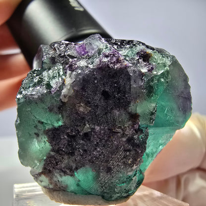 Rare cube de fluorite fantôme parqueté vert violet Okorusu Namibie 31*30*30mm 