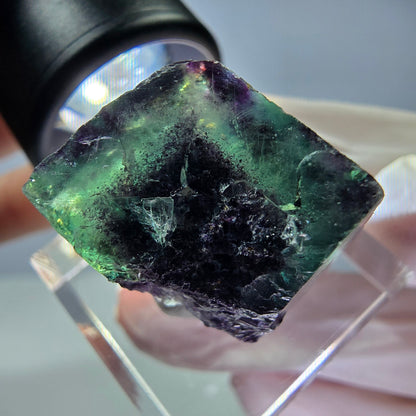 Rare cube de fluorite fantôme parqueté vert violet Okorusu Namibie 18*18*16mm 