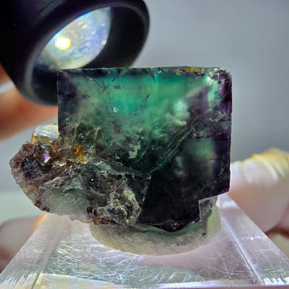 Rare cube de fluorite fantôme parqueté vert violet Okorusu Namibie 25*19*16mm 