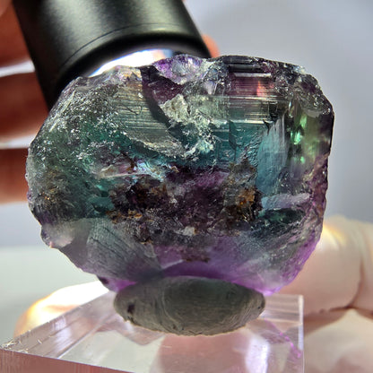 Rare cube de fluorite fantôme parqueté vert violet Okorusu Namibie 31*30*25mm 
