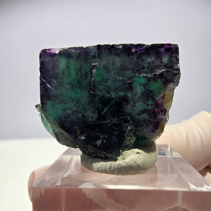 Rare cube de fluorite fantôme parqueté vert violet Okorusu Namibie 32*23*19mm 