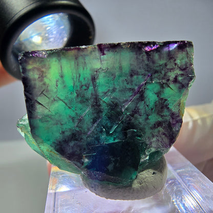 Rare cube de fluorite fantôme parqueté vert violet Okorusu Namibie 32*23*19mm 