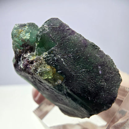 Rare cube de fluorite fantôme parqueté vert violet Okorusu Namibie 35*26*16mm 