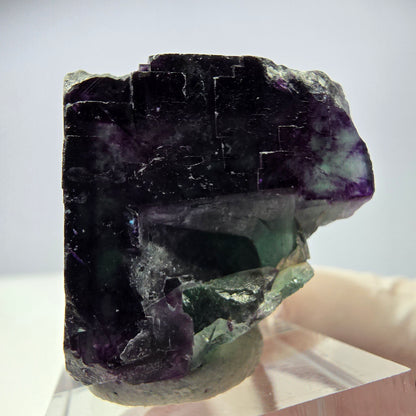Rare cube de fluorite fantôme parqueté vert violet Okorusu Namibie 29*27*27mm 