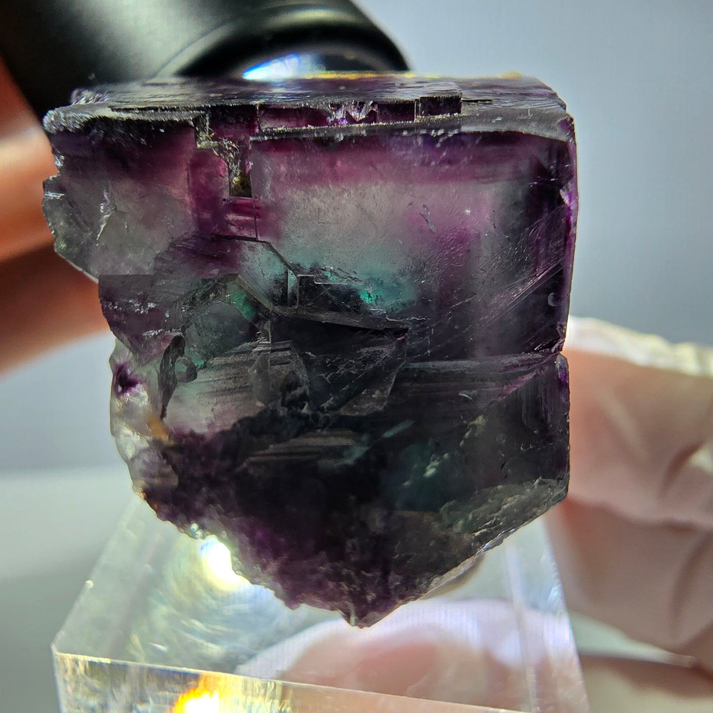Rare cube de fluorite fantôme parqueté vert violet Okorusu Namibie 29*27*27mm 