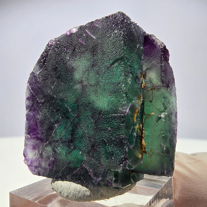 Rare cube de fluorite fantôme parqueté vert violet Okorusu Namibie 35*35*25mm 