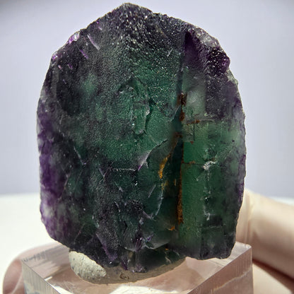 Rare cube de fluorite fantôme parqueté vert violet Okorusu Namibie 35*35*25mm 