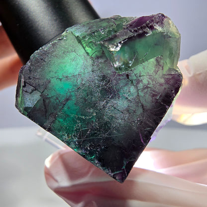 Rare cube de fluorite fantôme parqueté vert violet Okorusu Namibie 41*31*24mm 