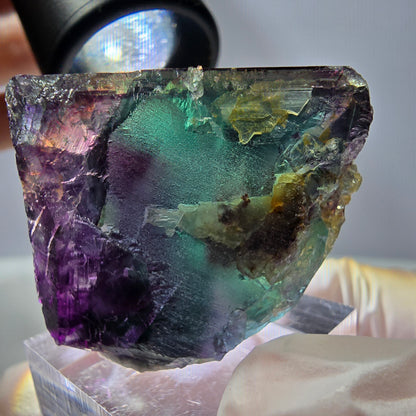 Rare cube de fluorite fantôme parqueté vert violet Okorusu Namibie 29*29*28mm 