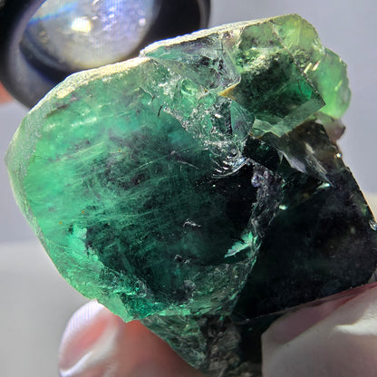 Spécimen de cube de fluorite fantôme parqueté vert violet Okorusu, Namibie 46*37*25 mm 