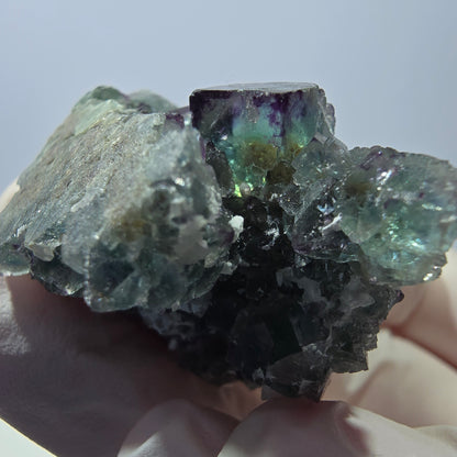Spécimen de cube de fluorite fantôme, vert-violet zonal, Okorusu, Namibie, 35 x 35 x 28 mm 