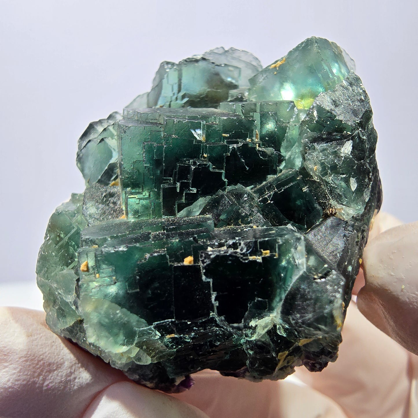 Spécimen de cube de fluorite fantôme parqueté vert violet Okorusu, Namibie 42*38*24mm 