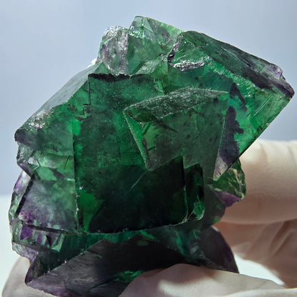 Spécimen de cube de fluorite fantôme parqueté vert violet Okorusu, Namibie 49*41*29mm 