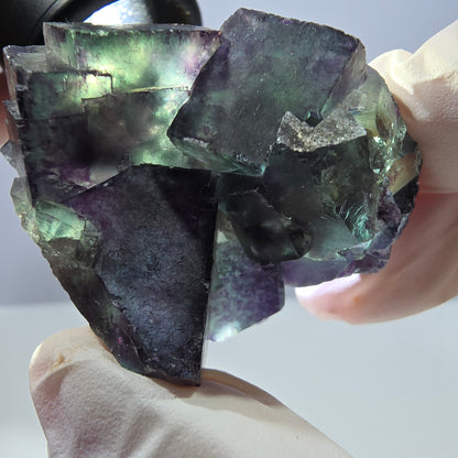 Spécimen de cube de fluorite fantôme parqueté vert violet Okorusu, Namibie 47*36*22mm 