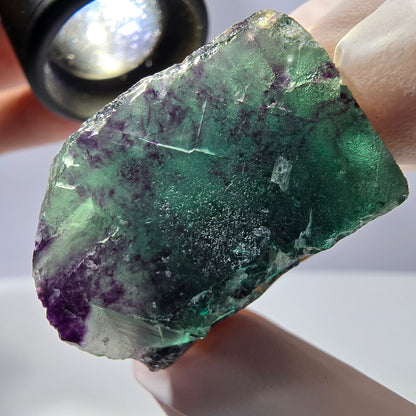 Spécimen de cube de fluorite fantôme parqueté vert violet Okorusu, Namibie 34*33*25 mm 