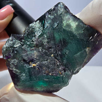 Spécimen de cube de fluorite fantôme parqueté vert violet Okorusu, Namibie 51*41*28 mm 