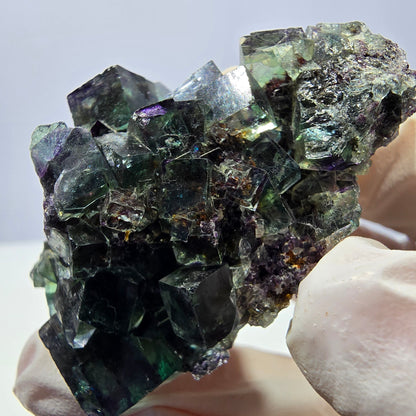 Spécimen de cube de fluorite fantôme parqueté vert violet Okorusu, Namibie 50*34*31mm 