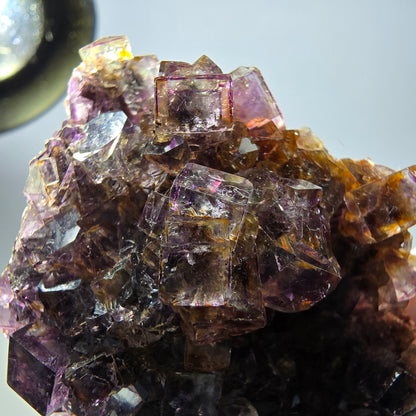 Rare spécimen de cube de fluorite fantôme, violet-jaune, Okorusu, Namibie, 59 x 47 x 32 mm 