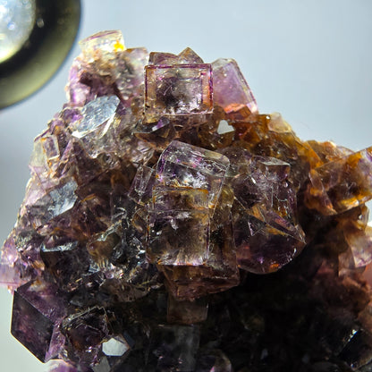 Rare spécimen de cube de fluorite fantôme, violet-jaune, Okorusu, Namibie, 59 x 47 x 32 mm 