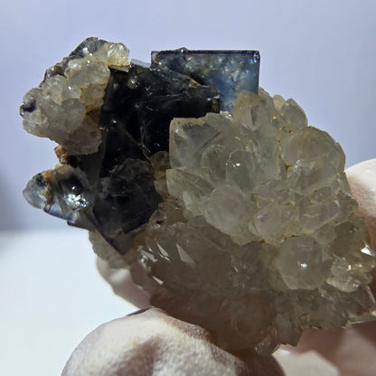 Rare cube de fluorite fantôme, spécimen de quartz vert violet Okorusu Namibie 34*28*25mm 