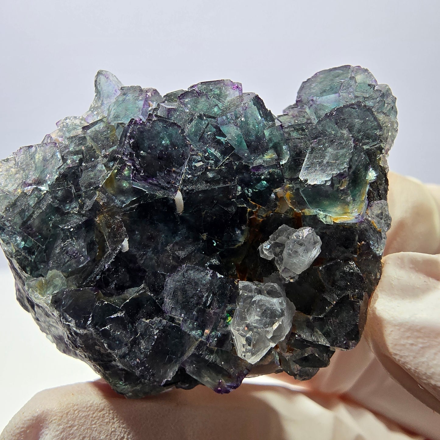 Rare cube de fluorite fantôme, spécimen de quartz vert violet Okorusu Namibie 43*33*26mm 