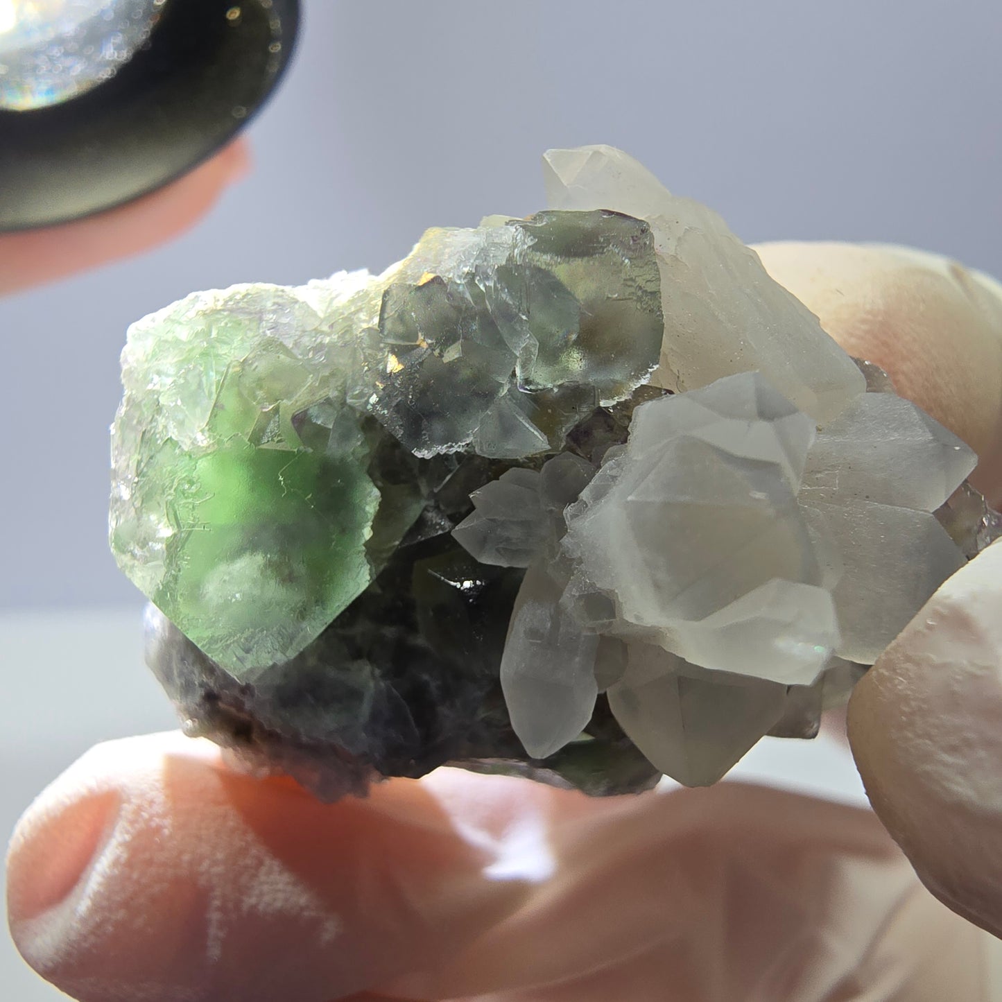 Rare cube de fluorite fantôme, spécimen de quartz vert violet Okorusu Namibie 38 x 27 x 24 mm 