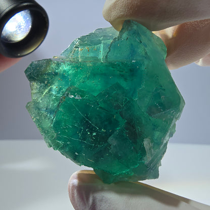Spécimen de cube de fluorite fantôme transparente, vert parqueté, Okorusu, Namibie, 51 x 40 x 26 mm 