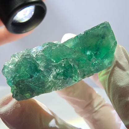 Spécimen de cube de fluorite fantôme transparente, vert parqueté, Okorusu, Namibie, 64 x 35 x 16 mm 