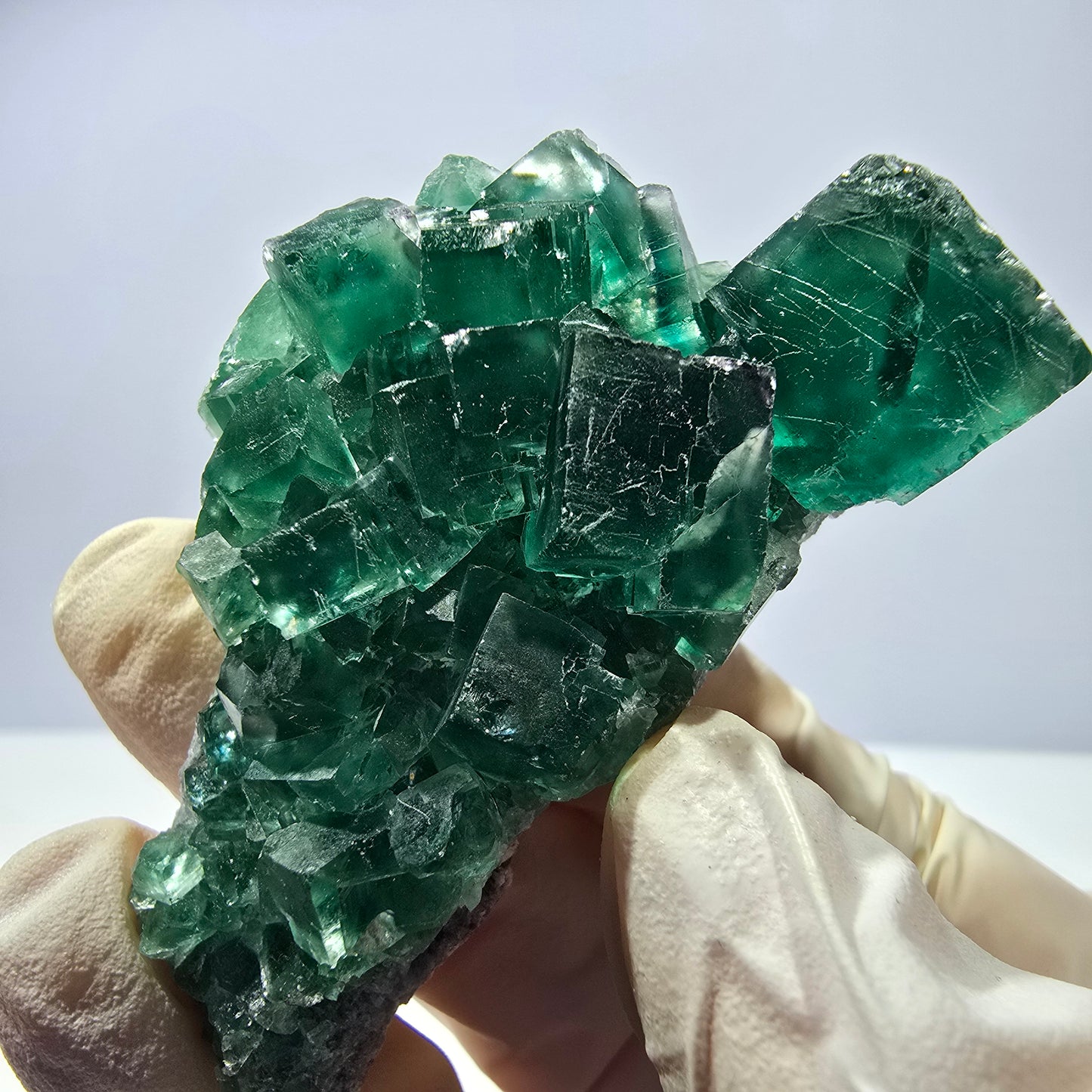 Rare spécimen de cube de fluorite fantôme, parqueté vert Okorusu, Namibie, 62 x 32 x 26 mm 