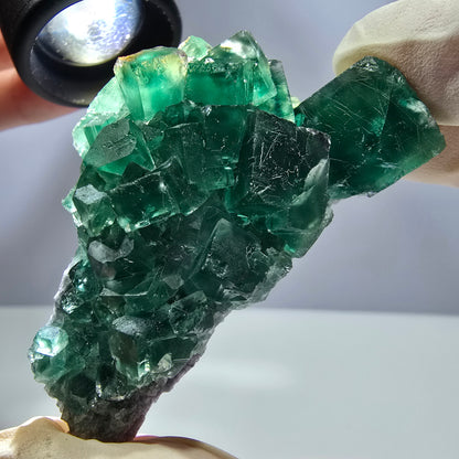 Rare spécimen de cube de fluorite fantôme, parqueté vert Okorusu, Namibie, 62 x 32 x 26 mm 