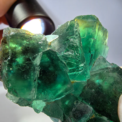Spécimen de cube de fluorite fantôme transparente, vert parqueté, Okorusu, Namibie, 60 x 51 x 26 mm 