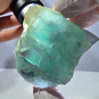 Rare spécimen de cube de fluorite fantôme, parqueté vert Okorusu, Namibie, 51 x 47 x 21 mm 