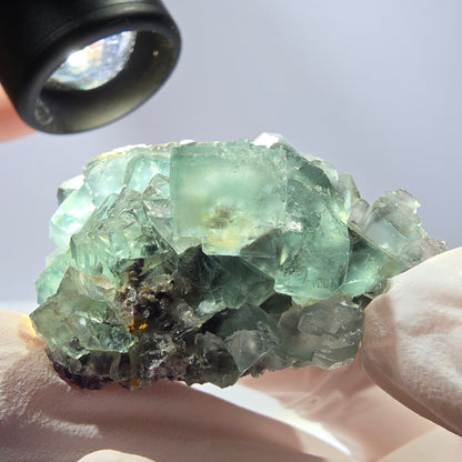 Spécimen de cube de fluorite fantôme transparente, vert parqueté, Okorusu, Namibie, 47 x 32 x 22 mm 