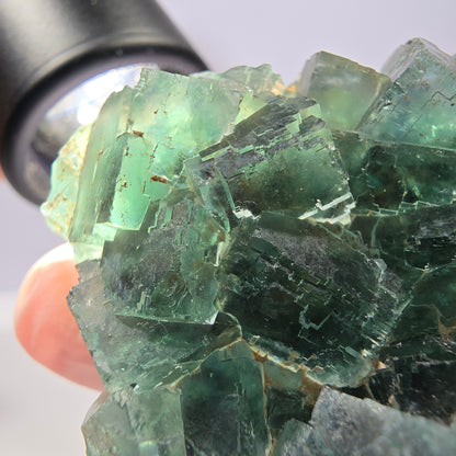 Spécimen de cube de fluorite fantôme transparente, vert parqueté, Okorusu, Namibie, 57 x 44 x 19 mm 